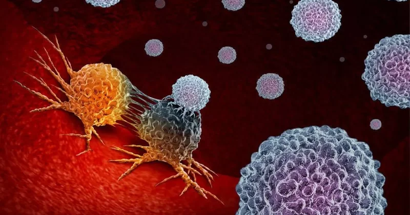 Cancer Cell: Иммунные клетки научились делиться ДНК для борьбы с раком