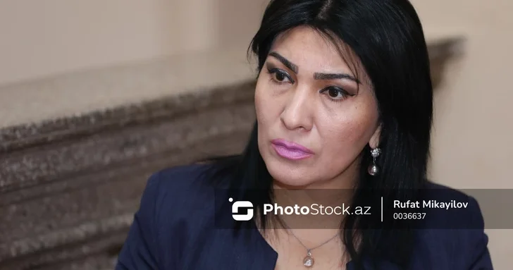 Начните с самих себя жёсткое заявление депутата Милли Меджлиса Азербайджана в адрес ЕП