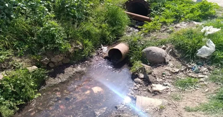 Toyuqları kəsib qanını Xəzərə axıdanlar CƏZALANDIRILDI