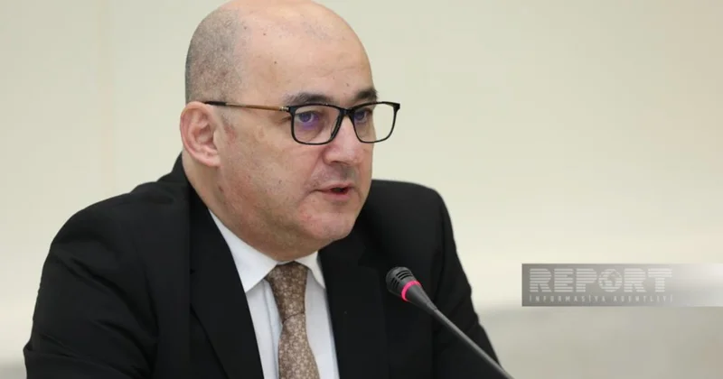 Шахин Багиров: Поправки в Таможенный кодекс поспособствуют экономическому росту