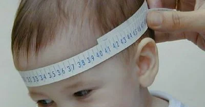 Alimlər son əsrdə insan kəlləsinin daha yuvarlaq hala gəldiyini aşkar ediblər