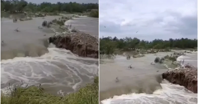 Kür çayı məcradan ÇIXDI Meşələr istiqamətində yayılmağa BAŞLAYIB