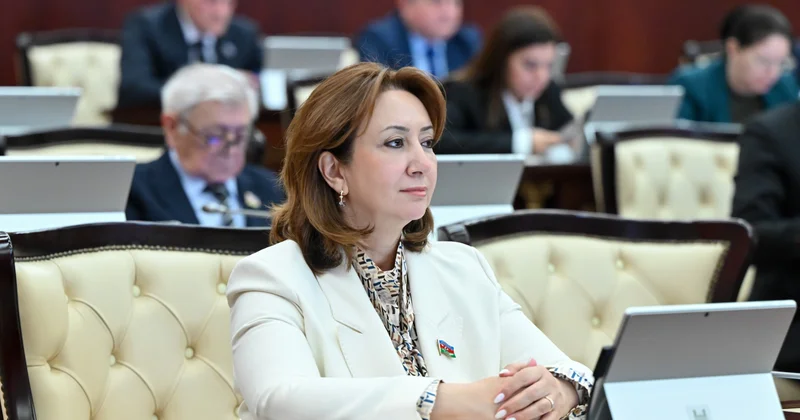 Siyasi təzyiqlərə qarşı milli mövqe və prinsipial cavab