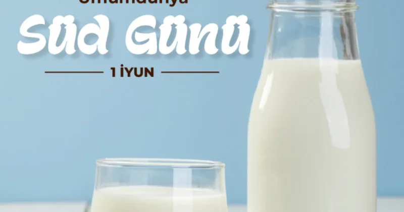 Süd: Hamıya lazım olan qida