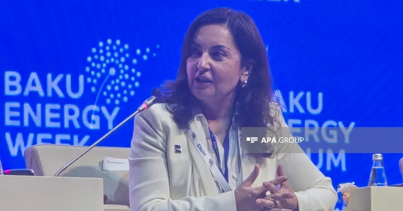 ADB: Enerji keçidində investorlar üçün bazarın miqyası həlledici əhəmiyyət daşıyır