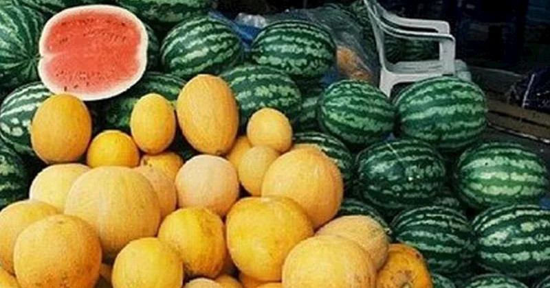 Hansı daha sağlamdır: Qovun, yoxsa qarpız?