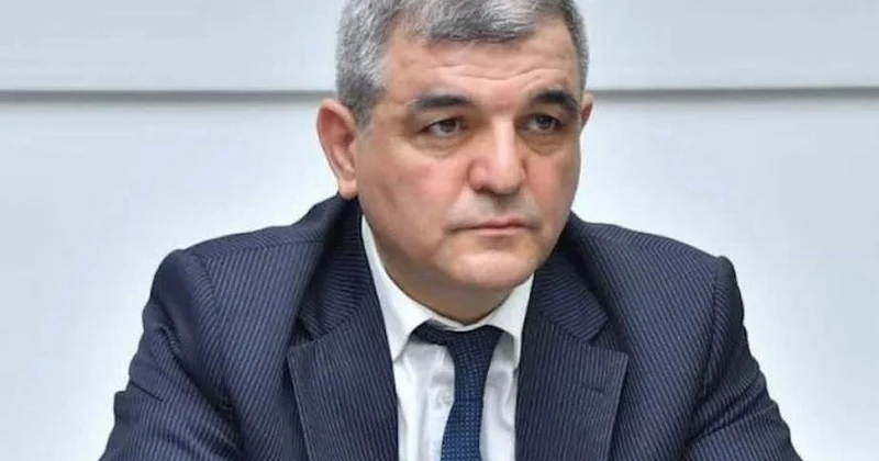 “Ermənistanın Aİ yə yaxınlaşması təhlükəsizlik seçimidir”