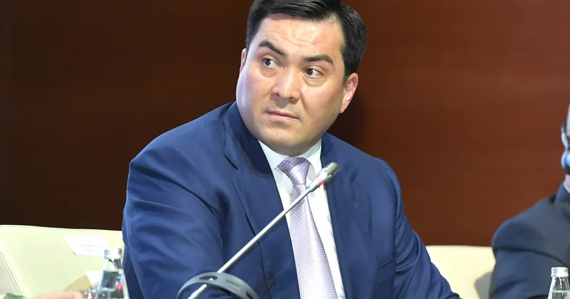 Nazir müavini: İqlim dəyişikliyi ölkənin hidroloji rejiminə birbaşa təsir göstərdiyindən enerji mənbələrinin şaxələndirilməsi prioritetdir