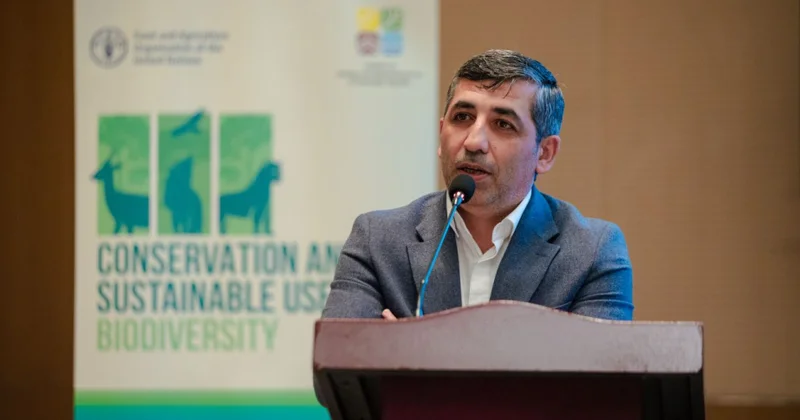 CİS texnologiyaları Zəngilan və Ağdamı regionun ağıllı şəhər nümunəsinə çevirir MÜSAHİBƏ