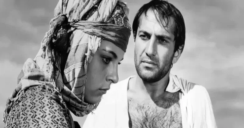 Qızıl ayı mükafatlı film əsasında serial çəkiləcək