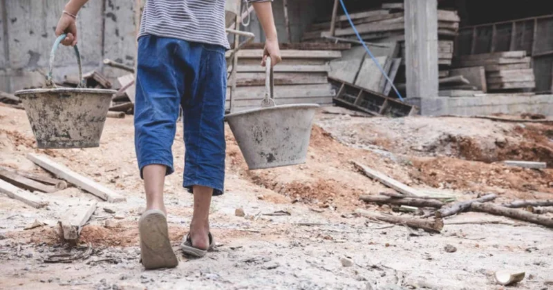 Azərbaycanda uşaq əməyinin istismarı halları azalıb İqtisadçı