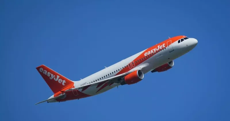 Castlelake изучает покупку easyJet