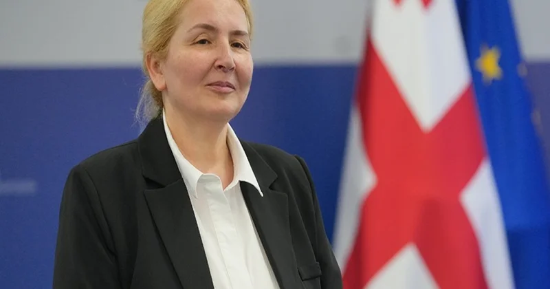 Nazir müavini: Azərbaycan və Gürcüstan birlikdə Yaşıl Enerji Dəhlizi layihəsini inkişaf etdirirlər