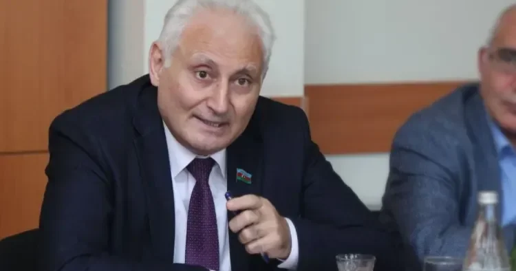 Sərhəd delimitasiyası sülh prosesini irəli apara bilər Hikmət Babaoğlu