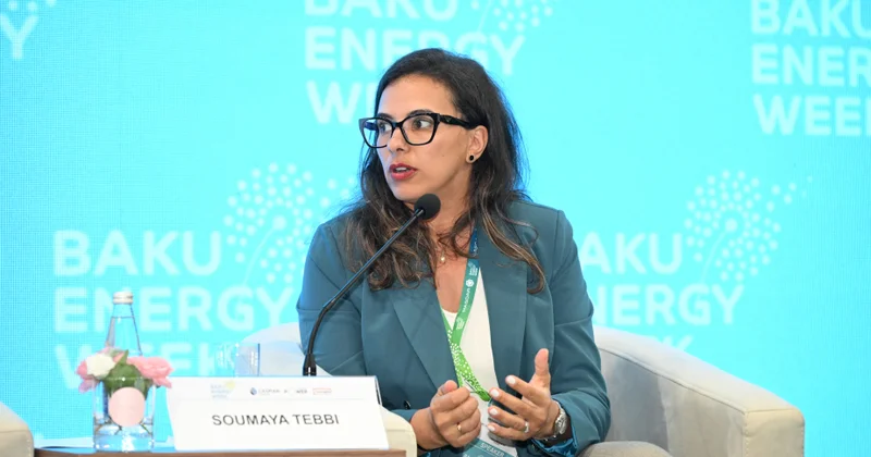 Sumaya Tebbi: Metan emissiyasının azaldılması üçün texnoloji inkişafa sərmayə yatırılmalıdır