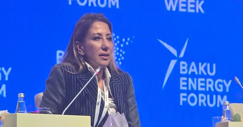 EBRD: Azərbaycanda 1,2 qiqavat bərpa olunan enerji gücünü maliyyələşdirmişik