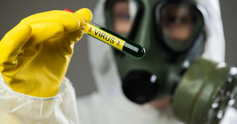 Türkiyədə virus yayılır Qadağa qüvvəyə mindi