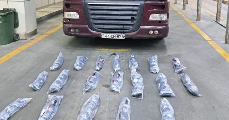 7 milyon manat dəyərində qaçaqmal tutulub