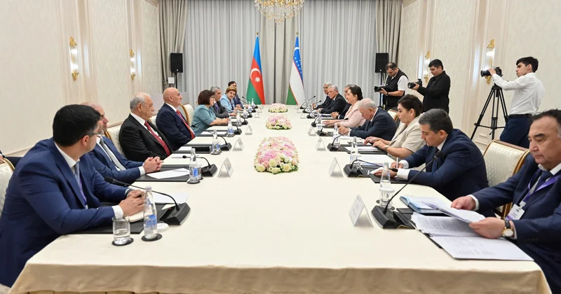 Sahibə Qafarova Özbəkistan Ali Məclisi Senatının sədri Tənzilə Narbayeva ilə görüşüb