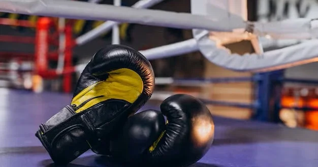 Баку примет первый турнир Ночь чемпионов под эгидой Международной боксерской ассоциации