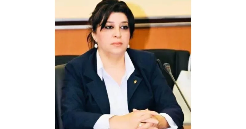 Qanunun keşiyində: 2 İyul Azərbaycan Polisi Günüdür