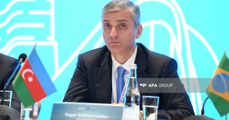 HP: Satınalmalar dövlət maliyyəsinin ən strateji xərcləmə alətlərindən biridir