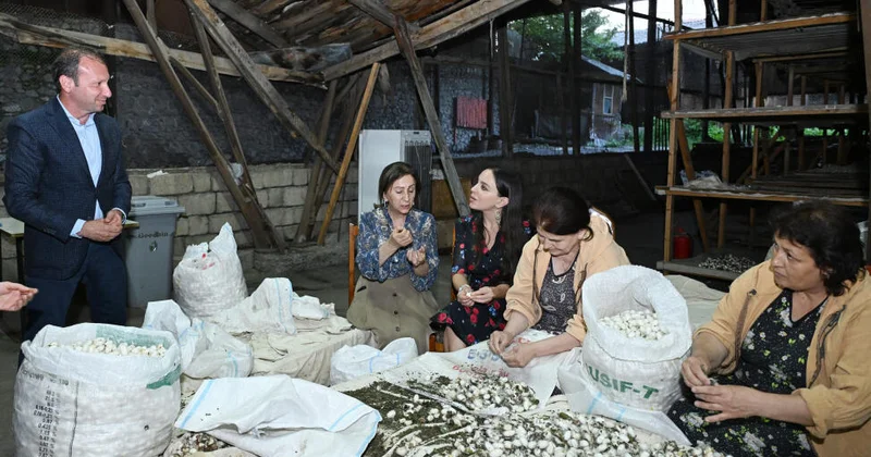Leyla Əliyeva “Azəripək” ASC nin fəaliyyəti ilə yaxından tanış olub (Foto)