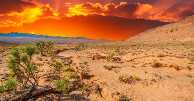 Июль в Казахстане будет жарким: до +45°C