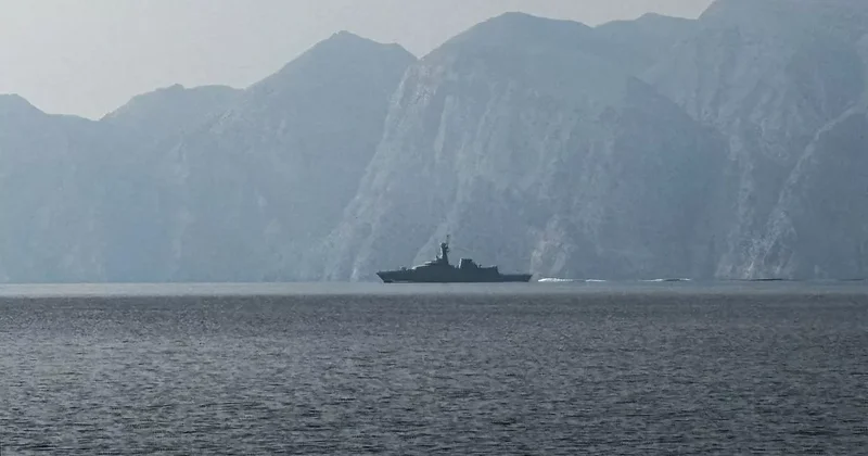 Германия может отозвать военные корабли из региона Ормузского пролива