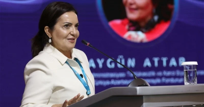 Айгюн Аттар призвала Эрдогана пригласить Азербайджан на саммит НАТО
