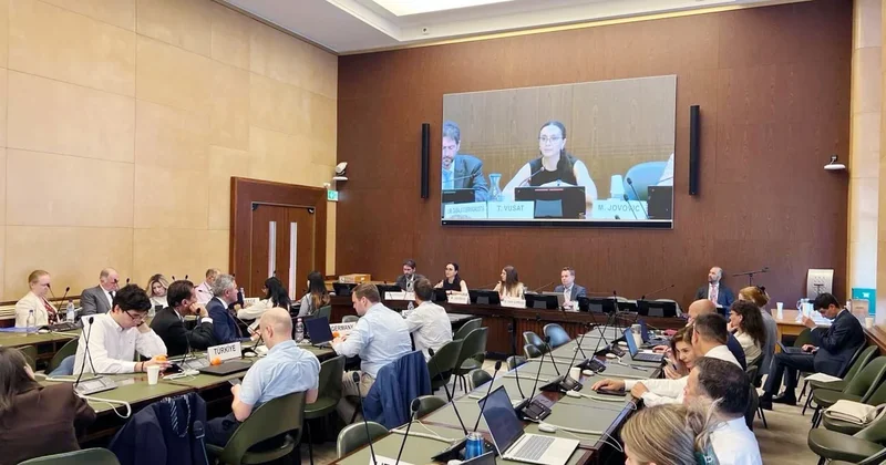 Азербайджан будет представлен в руководстве комитета UNECE