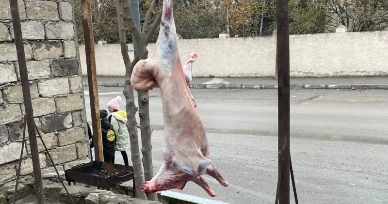 Ət kəsimi məntəqələri: Küçədə kəsilən heyvanlar hansı xəstəlikləri yayır?