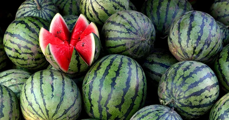 AQTA dan qarpız və yemişlə bağlı açıqlama