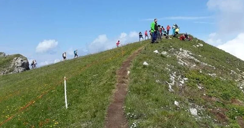 İtaliyada qalmaqal: Fermerlər Alp dağlarında turistlərdən pul tələb edir