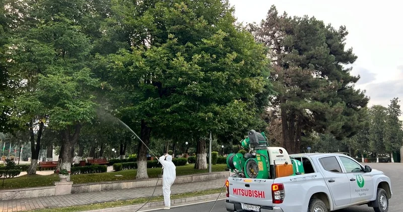 В Ханкенди проведены фитосанитарные мероприятия против вредных организмов