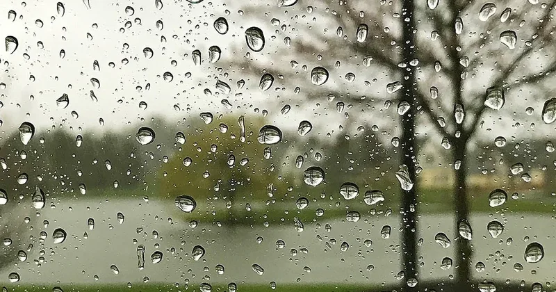 Hava ilə bağlı son durum: rayonlara yağış yağdı