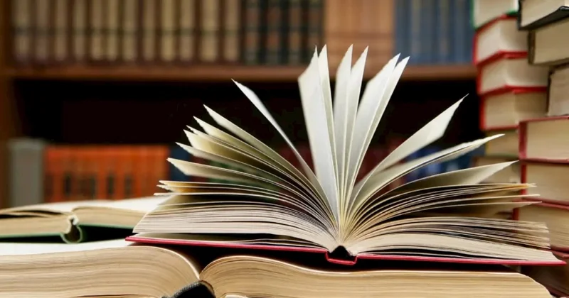 Ana dilimizin qorunması həm də mədəni təhlükəsizlik məsələsidir Vasif Sadıqlı