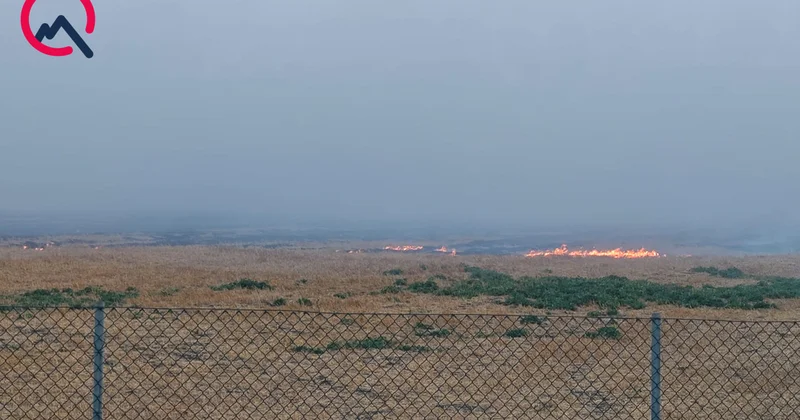 Zibil poliqonunda başlayan yanğın əkin sahələrinə keçdi Foto