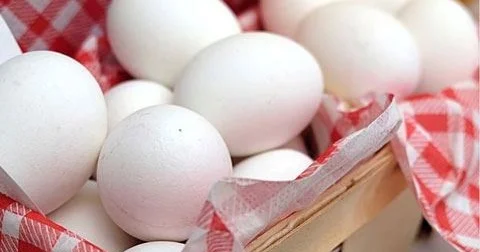 Yumurtaların yuyulması salmonellaların qarşısını alırmı?