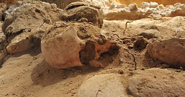 Uşağın qalıqları İsraildə tapılan neandertal və insan hibridi...