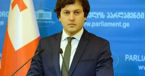 “Saakaşvili legitim prezident olmayıb” − Gürcüstanın baş naziri