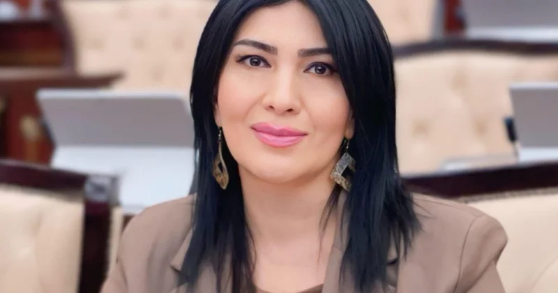 Prezident İlham Əliyevin Çin səfəri: əməkdaşlıqda yeni mərhələ