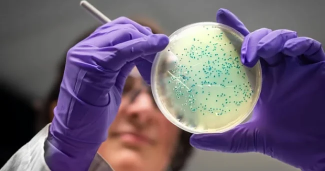 Süni intellekt indi də antibiotik hazırlayır