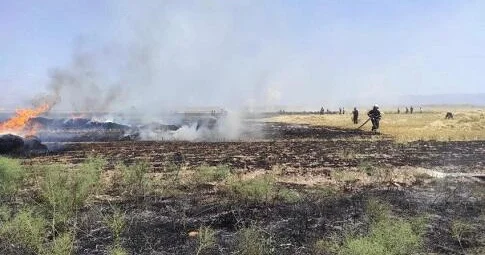 6 ha əkin sahəsini yandırdı: məsuliyyətə cəlb olundu