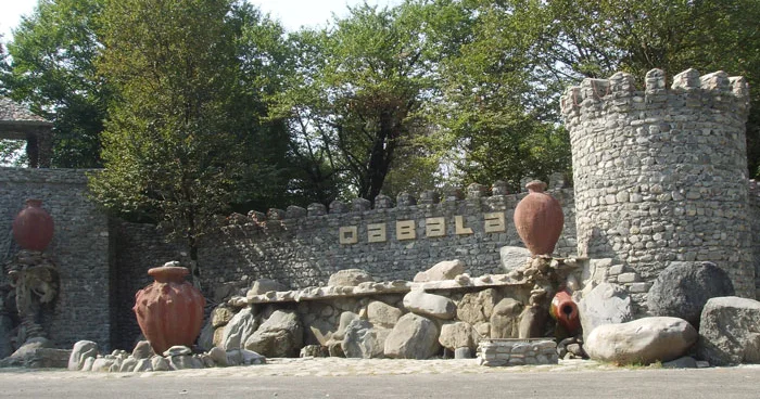 Qəbələdə sirkə turşusu içən qadın HƏYATINI İTİRDİ
