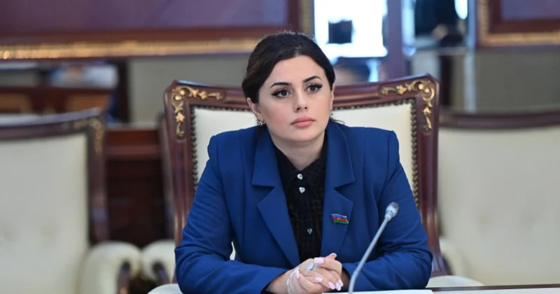 Azərbaycan Çin münasibətləri tarixinin ən yüksək səviyyəsindədir ŞƏRH