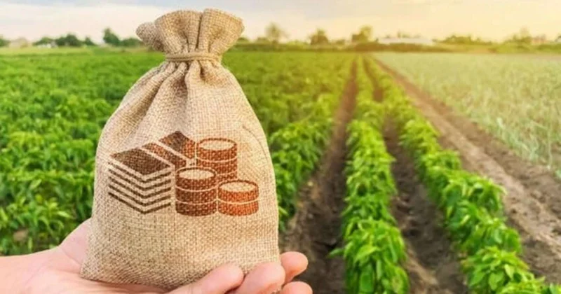 Bu şəxslərə 50% artıq subsidiya veriləcək