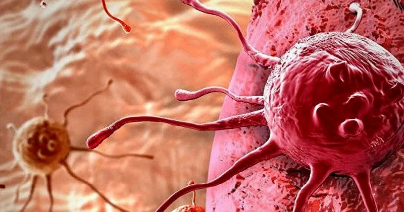 Xərçəng olmamaq üçün bunları edin