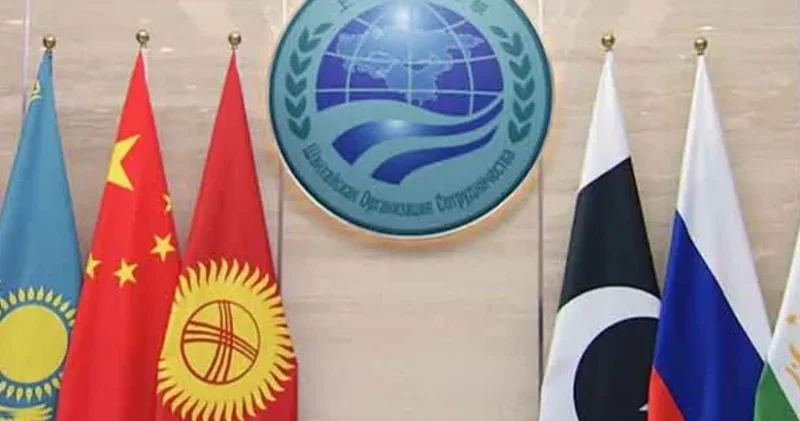 ŞƏT ölkələrinin İnkişaf Bankı təsis ediləcək