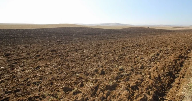 İşğaldan azad edilmiş ərazilərdə kənd təsərrüfatı torpaqları icarəyə verilir müraciətlər başlayır